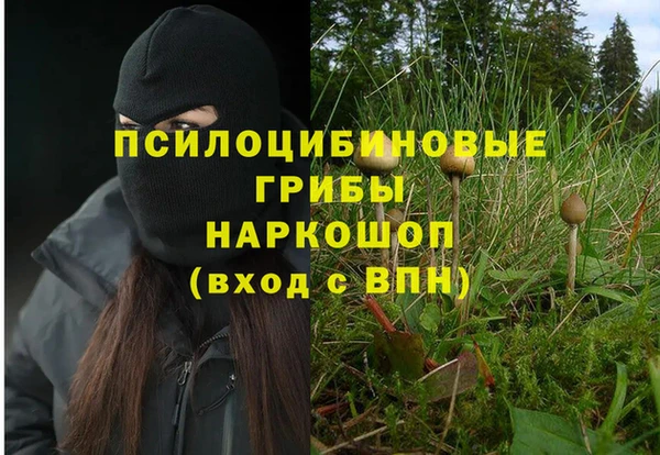 гидра Верхнеуральск
